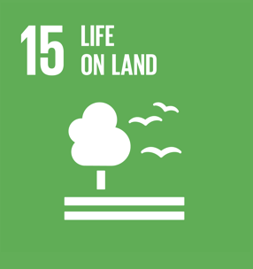 In vitro culture of microplants in an agar nutrient medium