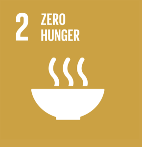 In vitro culture of microplants in an agar nutrient medium