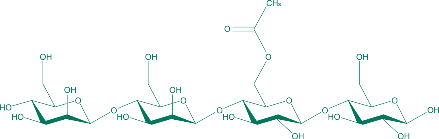 Culture in vitro de microplants dans un milieu nutritif composé d'agar