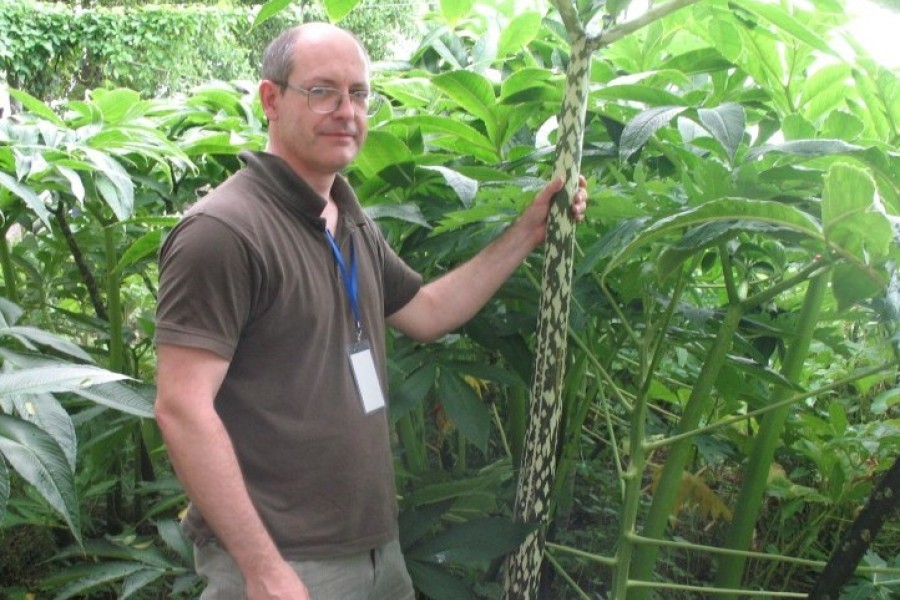 Culture in vitro de microplants dans un milieu nutritif composé d'agar