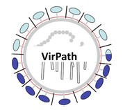 VirPath